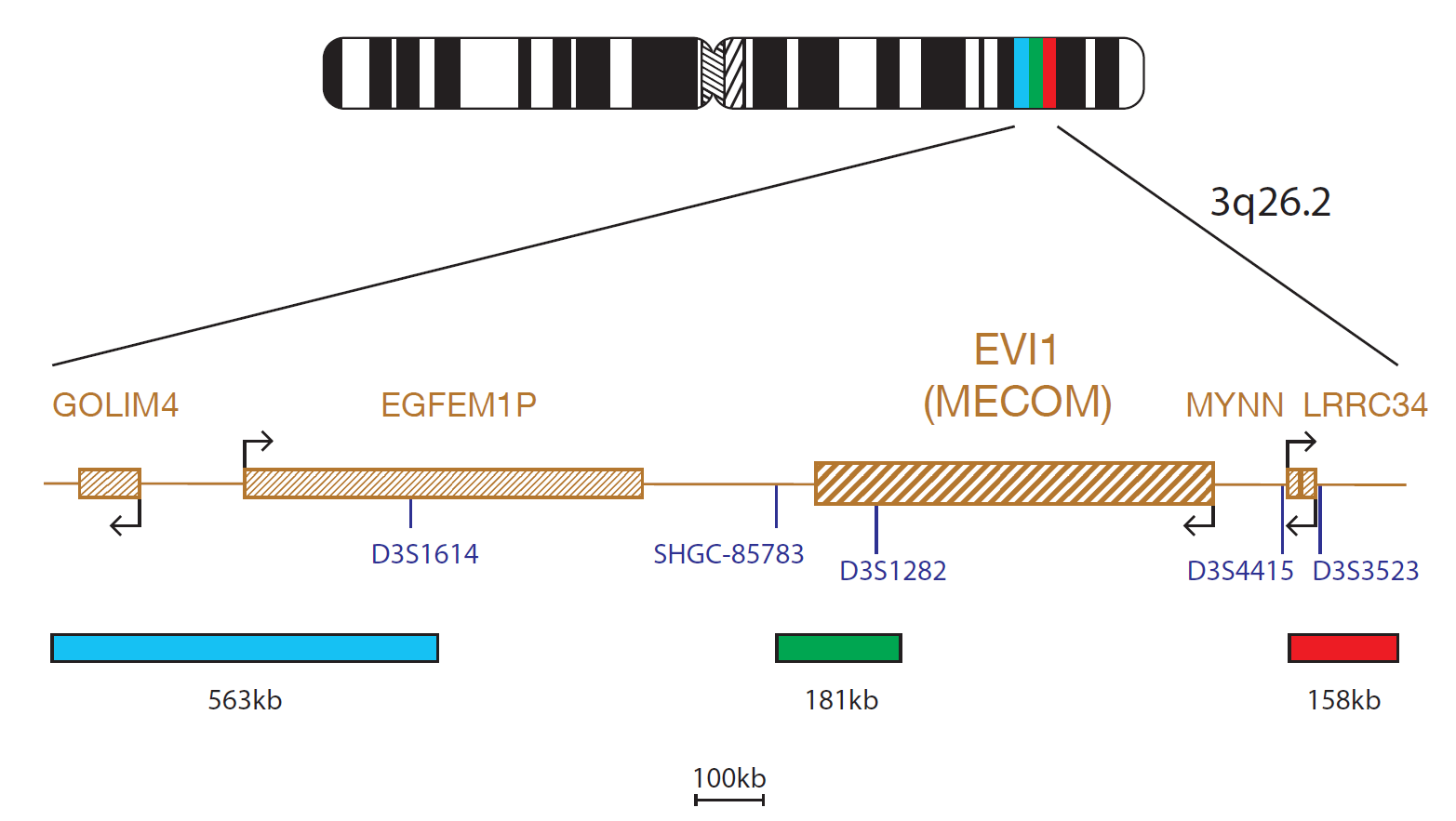 EVI1 (MECOM) Breakapart