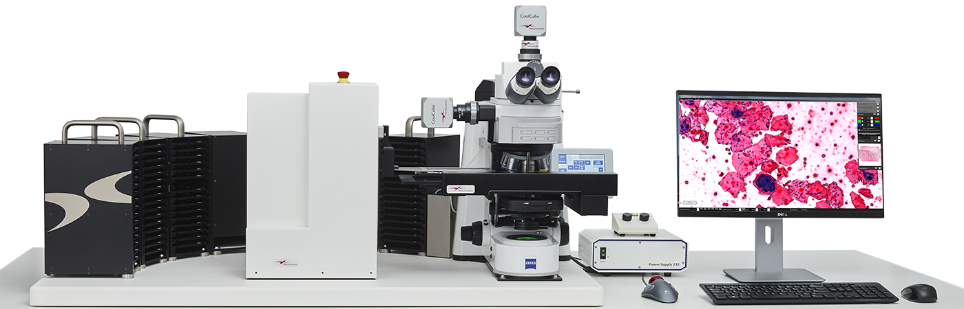 Gram Stain Analysis Automated Digitization of Gram Stains